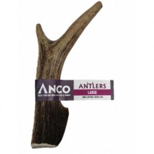 Anco Antler