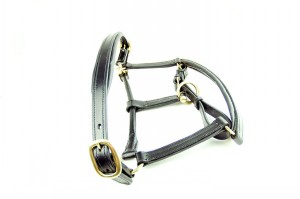 Ascot Padded Headcollar