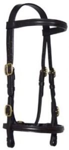 Ascot In-Hand Bridle