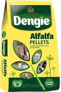 Dengie Alfalfa Pellets