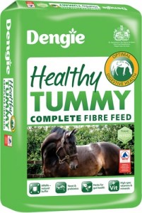 Dengie Healthy Tummy