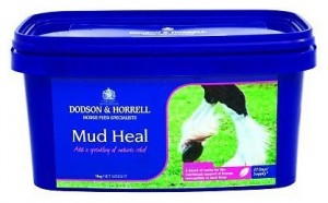 Dodson & Horrell Mud Heel