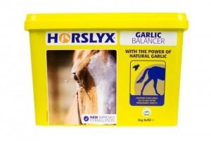 Horslyx Mini Garlic