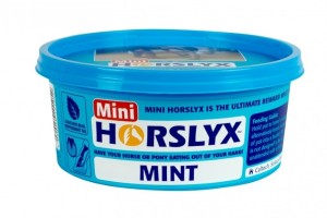 Horslyx Mini Mint