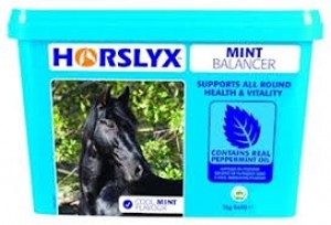 Horslyx Mint Balancer Lick