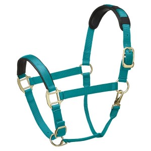 Legacy Premium Headcollar