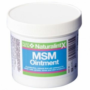 NAF Naturalintex MSM Ointment